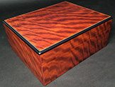 Lightning Bolt Movingue Humidor