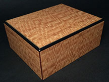 Eucalyptus American made Humidor